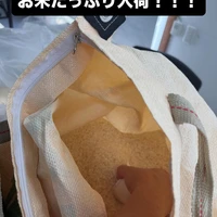 画像255