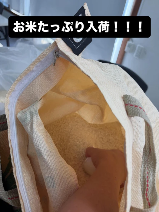 画像255